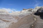 PICTURES/Blue Mesa/t_P1010476.JPG